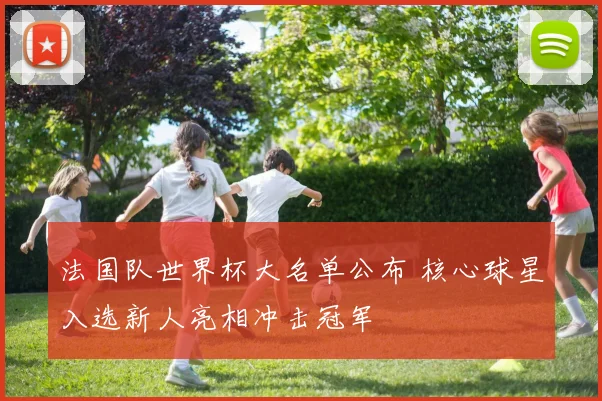 法国队世界杯大名单公布 核心球星入选新人亮相冲击冠军