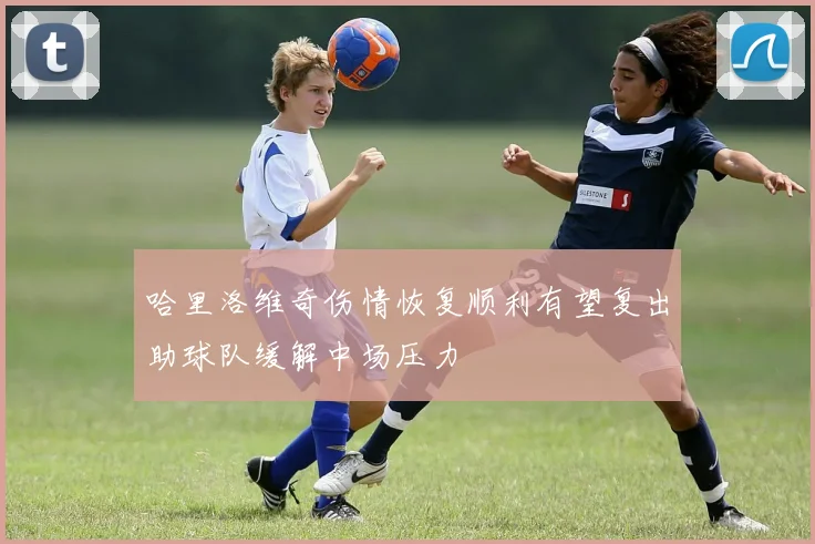 哈里洛维奇伤情恢复顺利有望复出助球队缓解中场压力