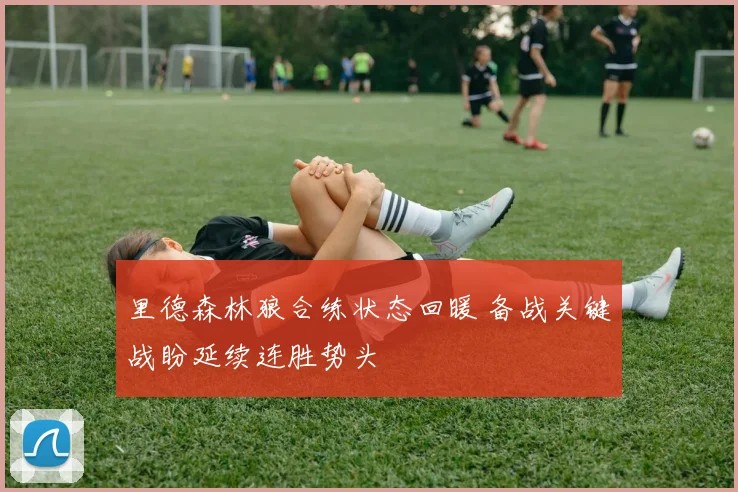 里德森林狼合练状态回暖 备战关键战盼延续连胜势头