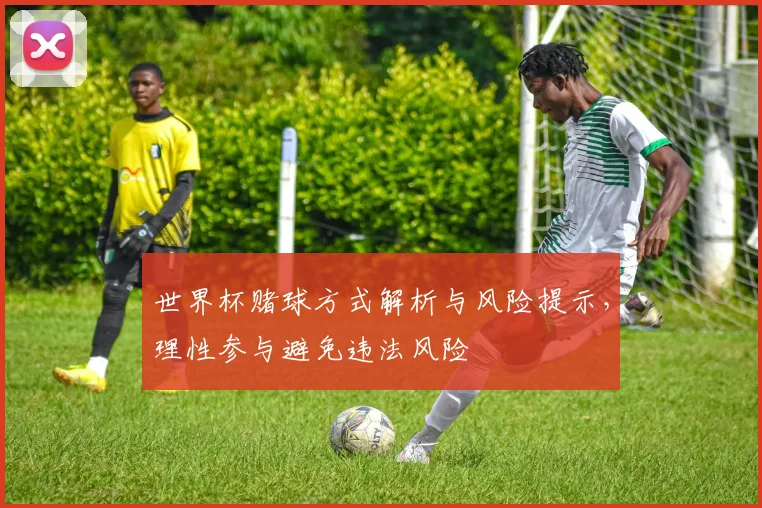 世界杯赌球方式解析与风险提示，理性参与避免违法风险